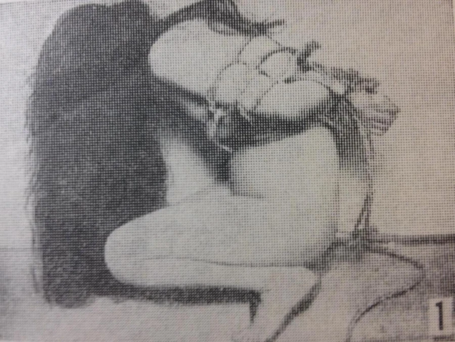 itoh seiu shibari foto 1