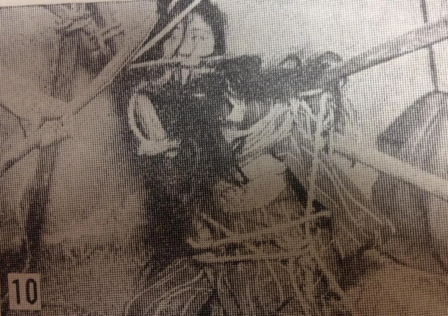 itoh seiu shibari foto 10