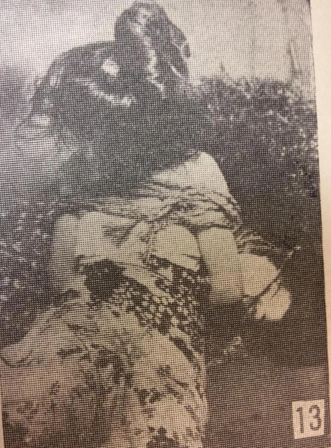 itoh seiu shibari foto 13