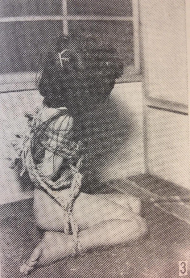 itoh seiu shibari foto 3