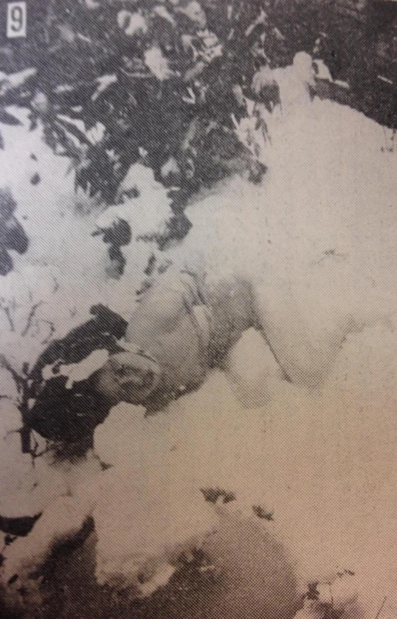 itoh seiu shibari foto 9